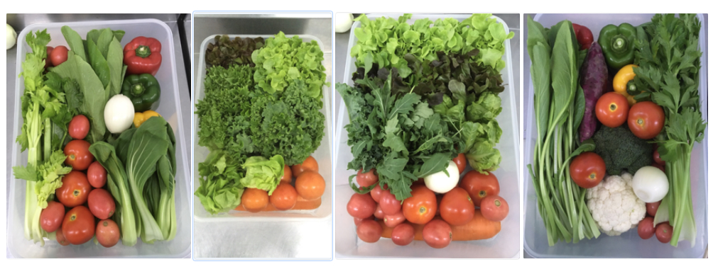 Ready-to-Use Vegetables Delivery Set
